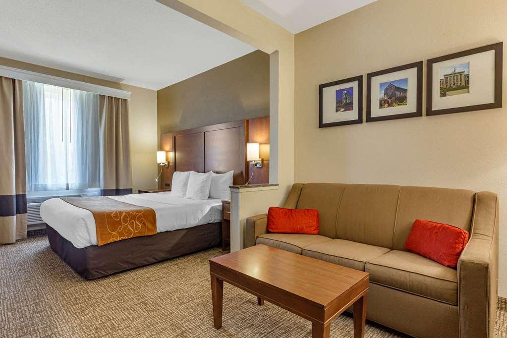 Comfort Suites Raleigh Walnut Creek Chambre photo